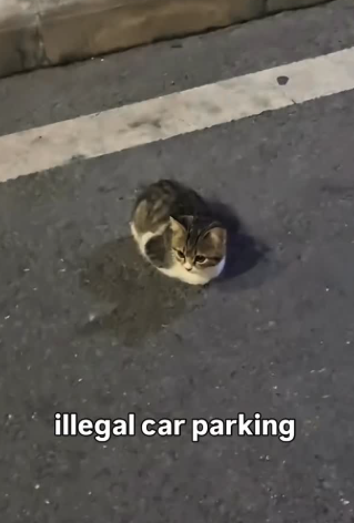 illegal car parking