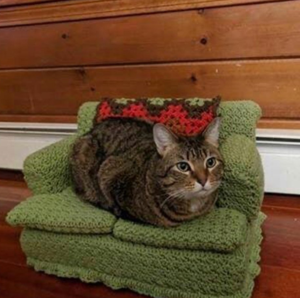 Cheezburger Image 10616740864