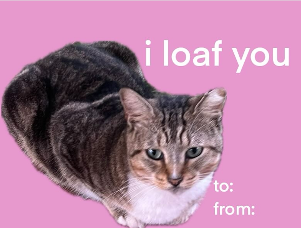 i loaf you to: from: