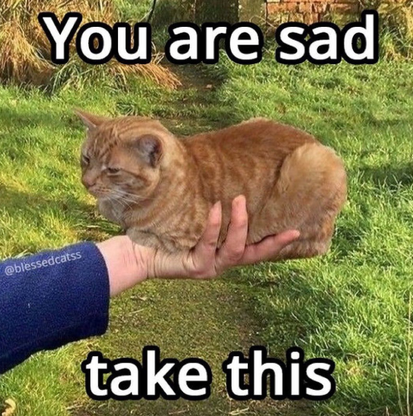 You are sad @blessedcatss take this