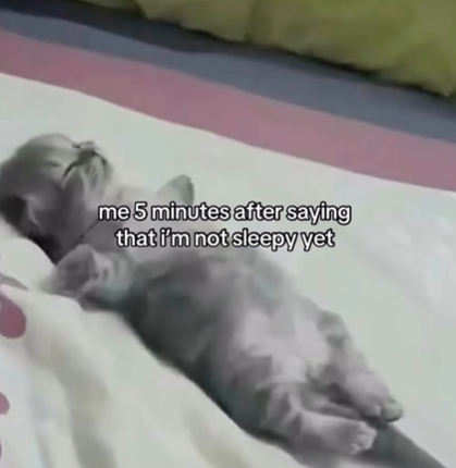 me 5 minutes after saying that i'm not sleepy yet