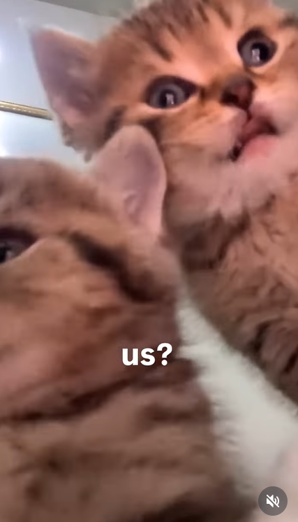 us?