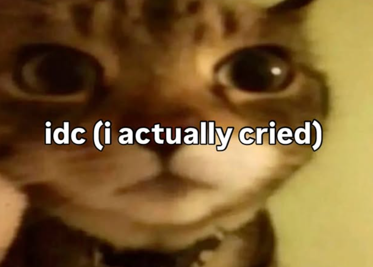 idc (i actually cried)