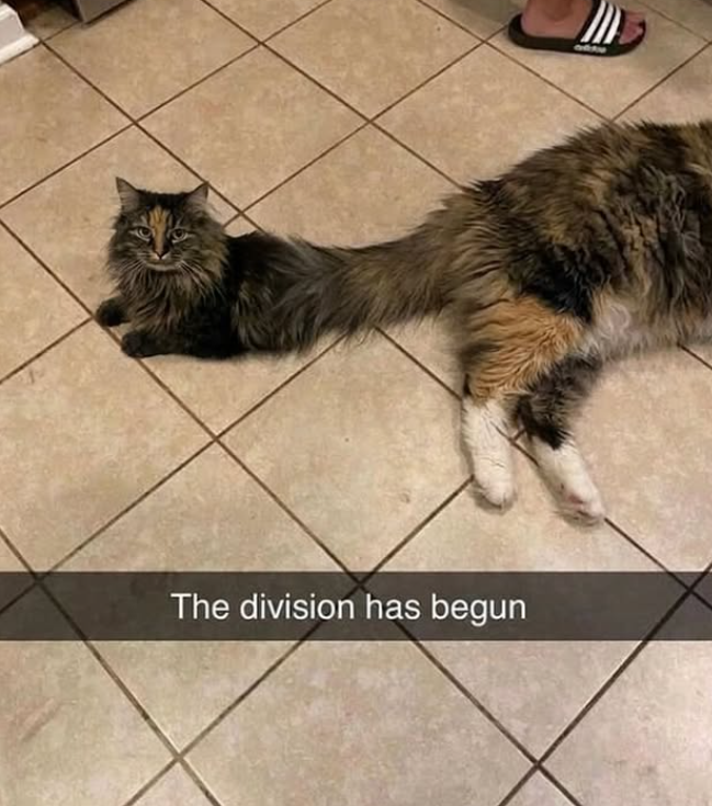The division has begun