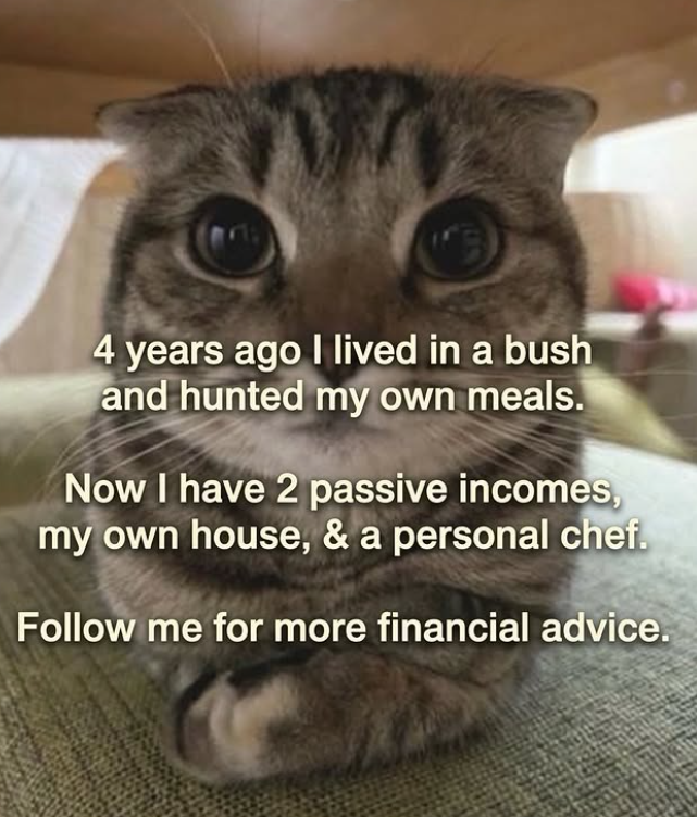 4 years ago I lived in a bush and hunted my own meals. Now I have 2 passive incomes, my own house, & a personal chef. Follow me for more financial advice.