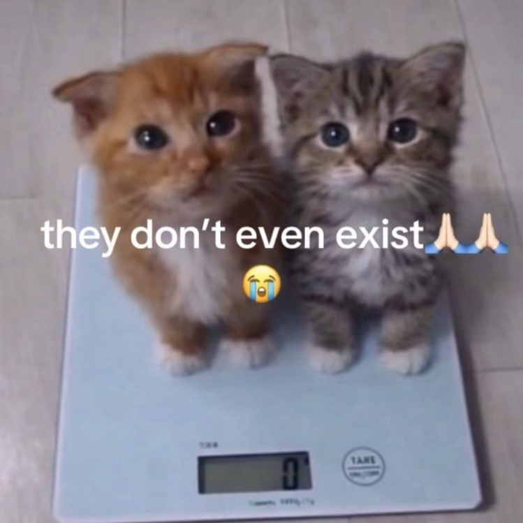 they don't even exist TANE