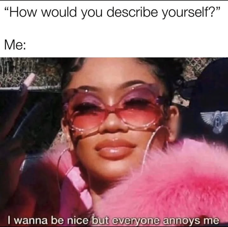 "How would you describe yourself?" Me: I wanna be nice but everyone annoys me