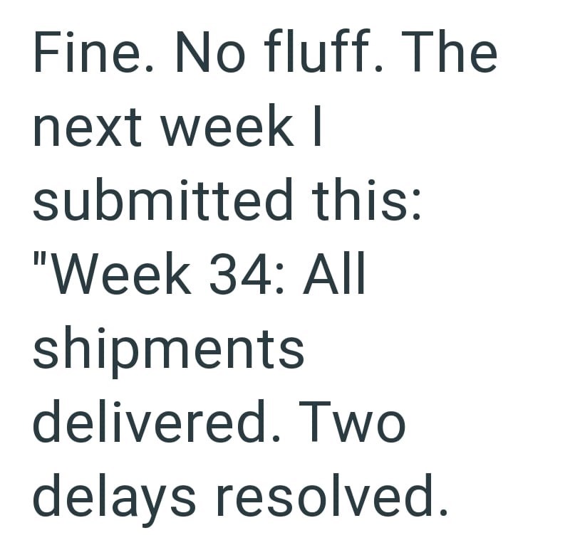 Fine. No fluff. The next week I submitted this: "Week 34: All shipments delivered. Two delays resolved.
