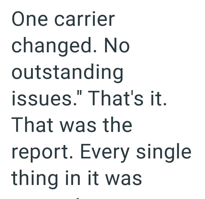 One carrier changed. No outstanding issues." That's it. That was the report. Every single thing in it was