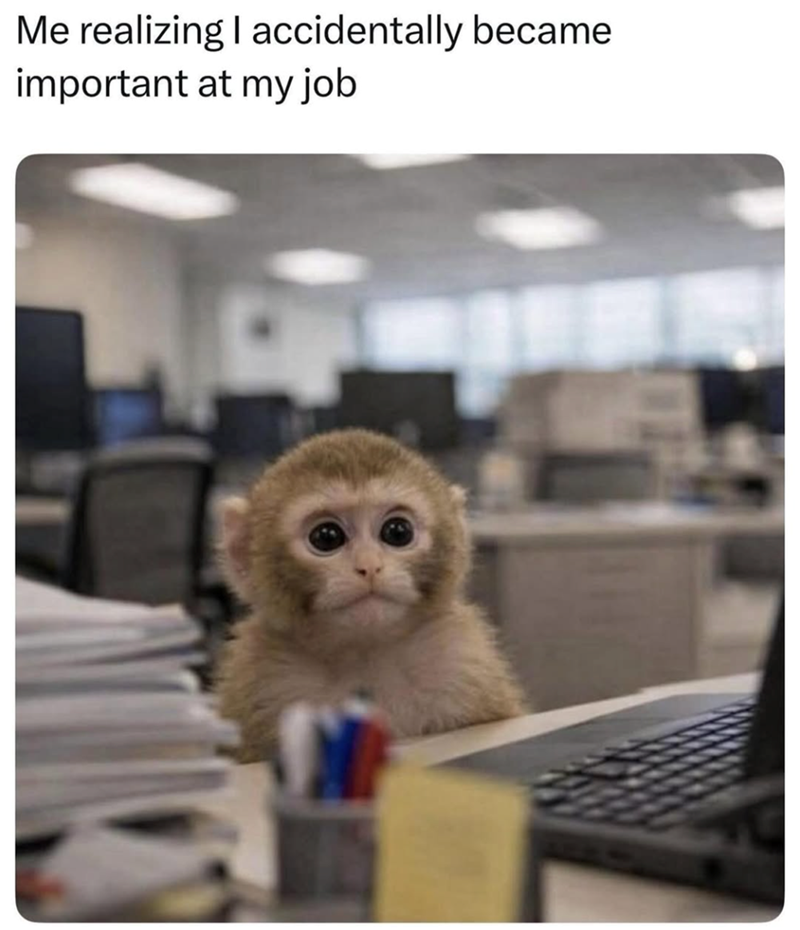 Me realizing I accidentally became important at my job