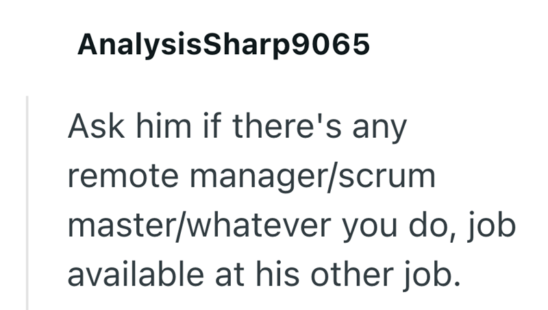 AnalysisSharp9065 Ask him if there's any remote manager/scrum master/whatever you do, job available at his other job.