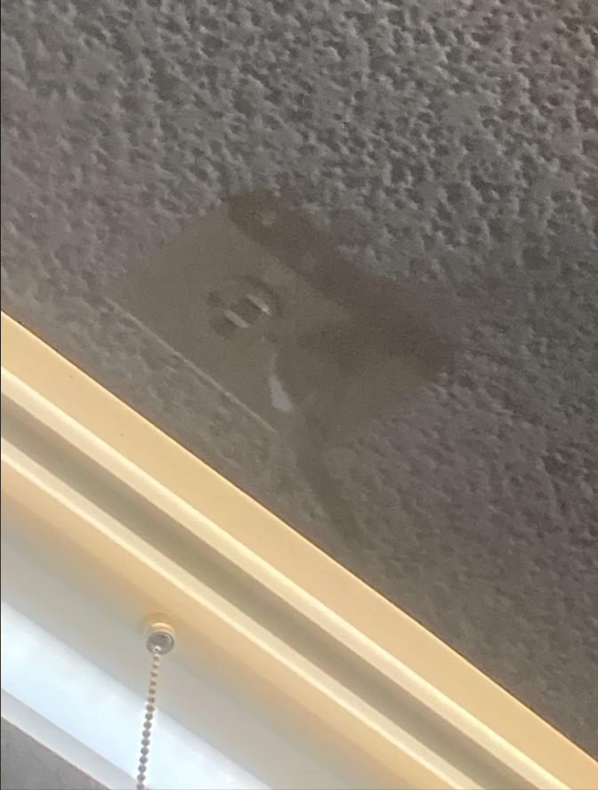 Cheezburger Image 10616772864