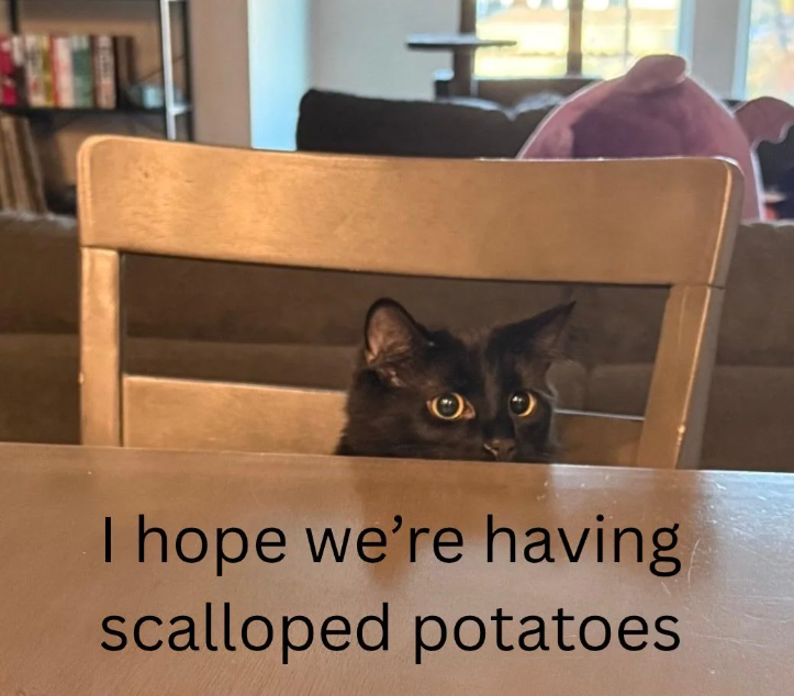 I hope we're having scalloped potatoes