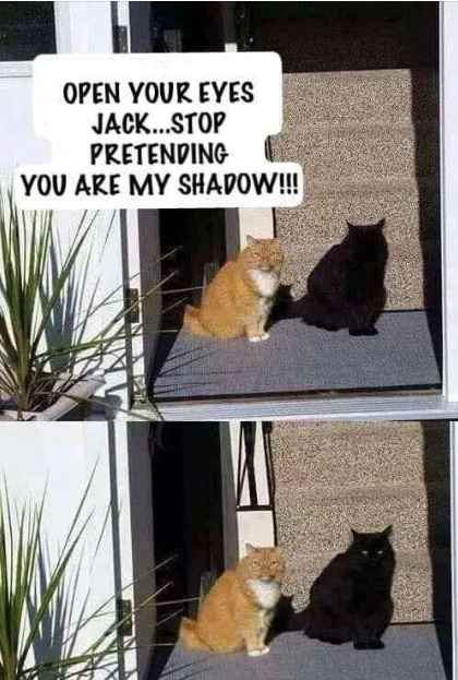 OPEN YOUR EYES JACK...STOP PRETENDING YOU ARE MY SHADOW!!!