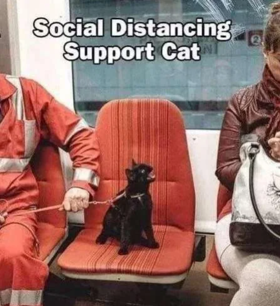 Social Distancing Support Cat e