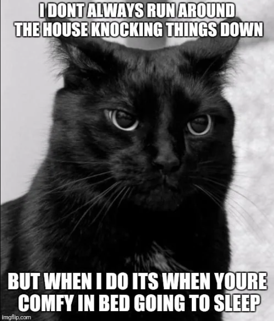 I DONT ALWAYS RUN AROUND THE HOUSE KNOCKING THINGS DOWN BUT WHEN I DO ITS WHEN YOURE COMFY IN BED GOING TO SLEEP imgflip.com