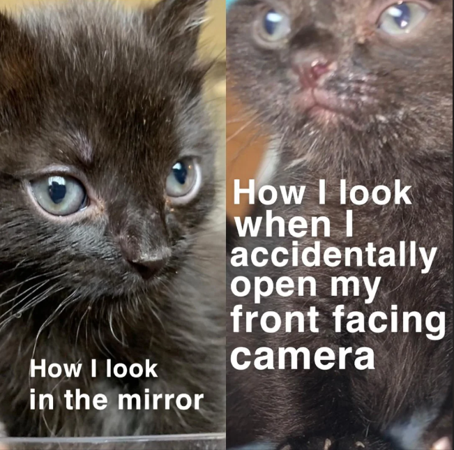 How I look in the mirror How I look when I accidentally open my front facing camera