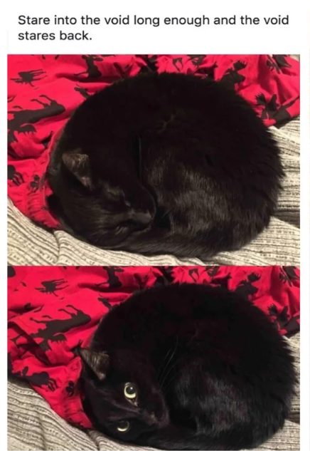 Stare into the void long enough and the void stares back.