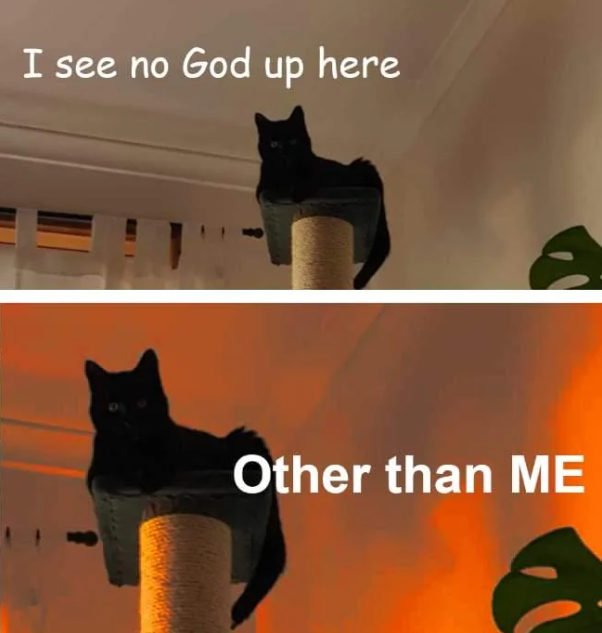 I see no God up here Other than ME