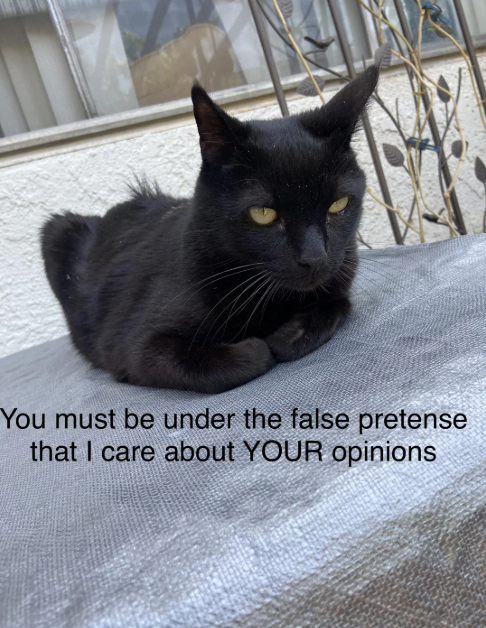 You must be under the false pretense that I care about YOUR opinions