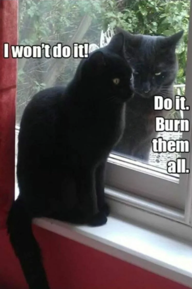 I won't do it! Do it. Burn them all.