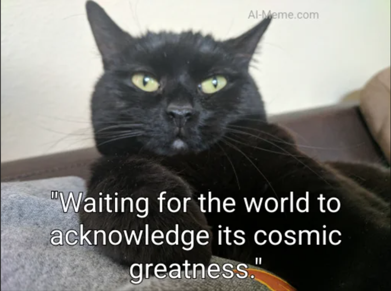 Al-Meme.com "Waiting for the world to acknowledge its cosmic greatness."