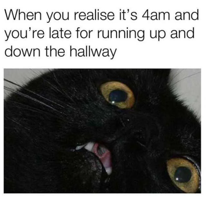 When you realise it's 4am and you're late for running up and down the hallway