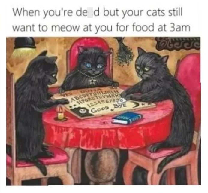When you're de id but your cats still want to meow at you for food at 3am 46100 ABCDEFGHIJKLM NPQRSTUVWXY 1234567890 Good By