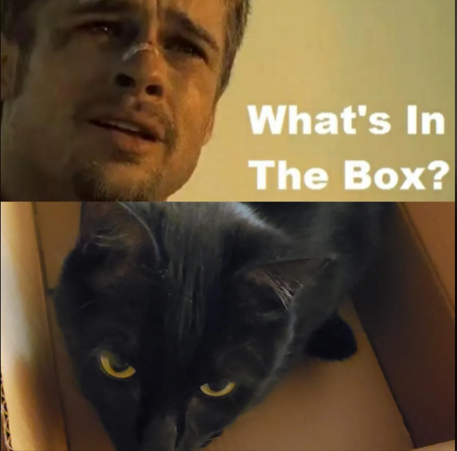What's In The Box?