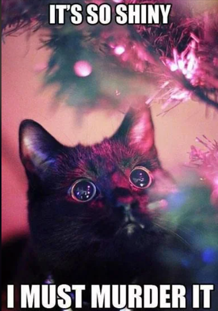 IT'S SO SHINY I MUST MURDER IT