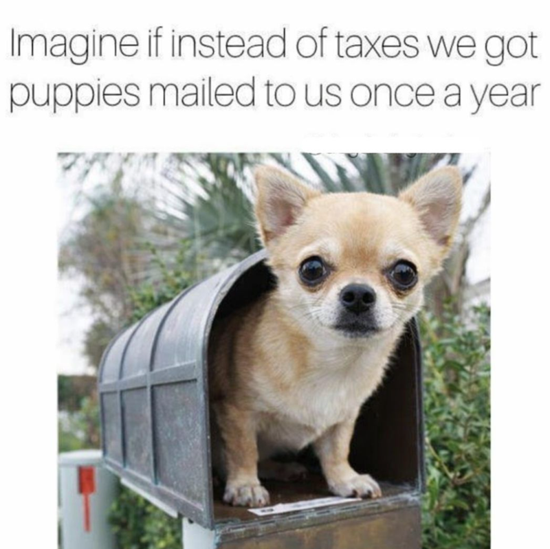 Imagine if instead of taxes we got puppies mailed to us once a year