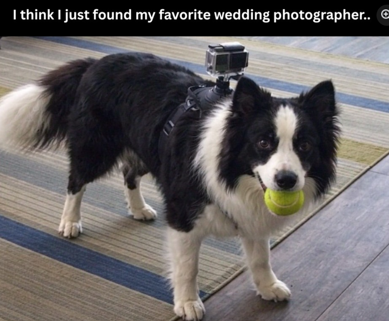 I think I just found my favorite wedding photographer.. €
