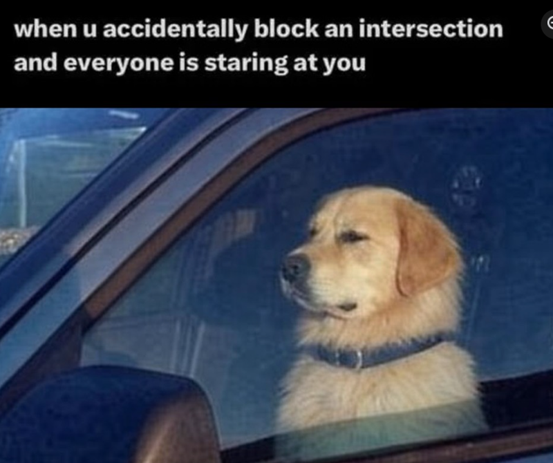 when u accidentally block an intersection and everyone is staring at you
