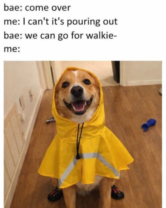 bae: come over me: I can't it's pouring out bae: we can go for walkie- me: