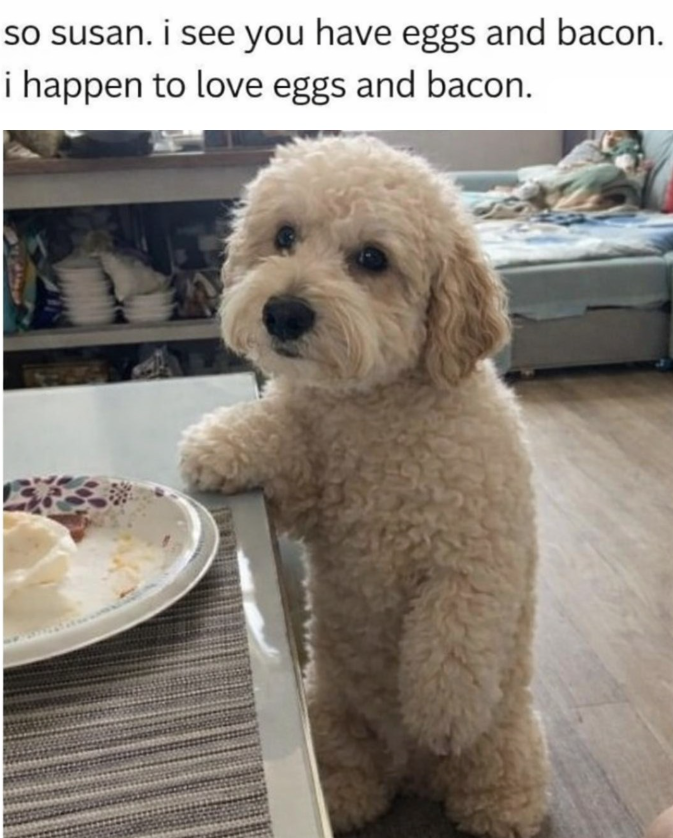 so susan. i see you have eggs and bacon. i happen to love eggs and bacon.