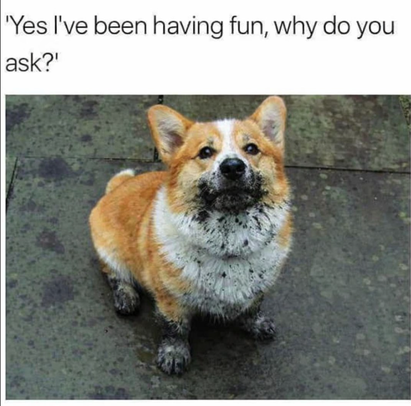 'Yes I've been having fun, why do you ask?'