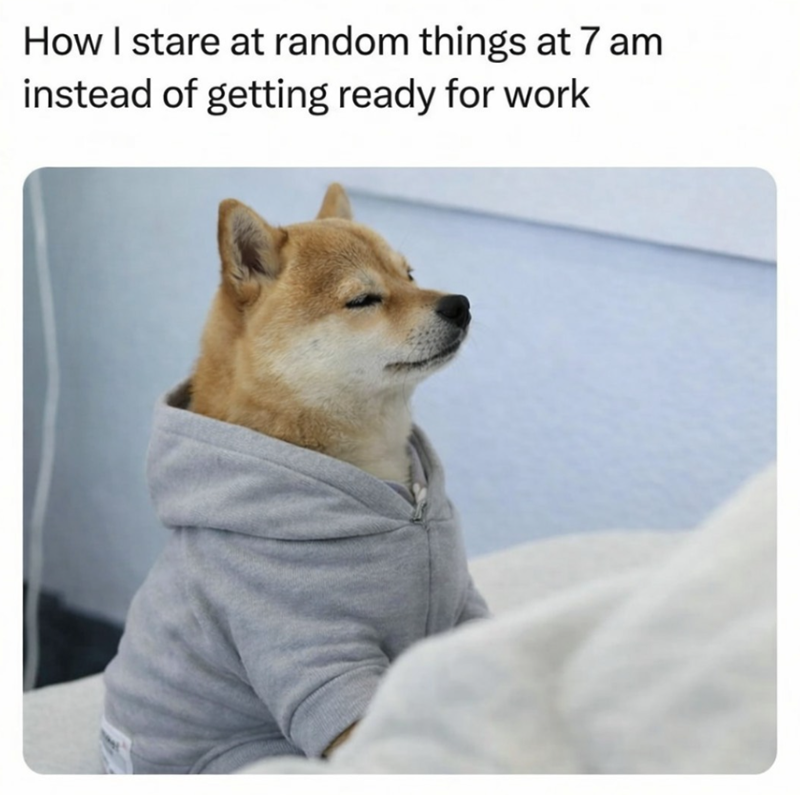How I stare at random things at 7 am instead of getting ready for work