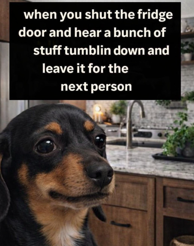 when you shut the fridge door and hear a bunch of stuff tumblin down and leave it for the next person