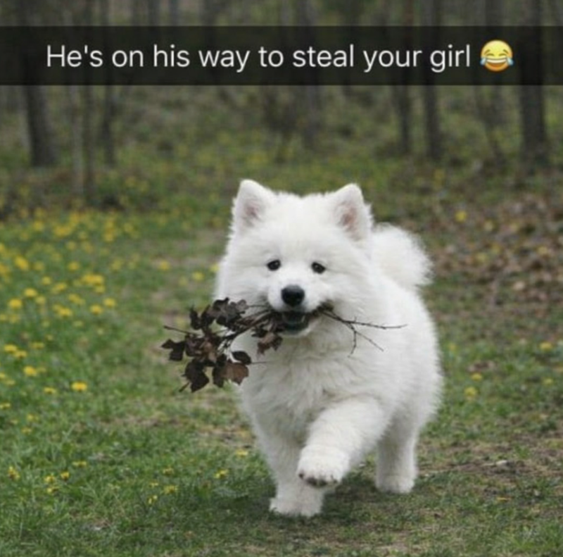 He's on his way to steal your girl