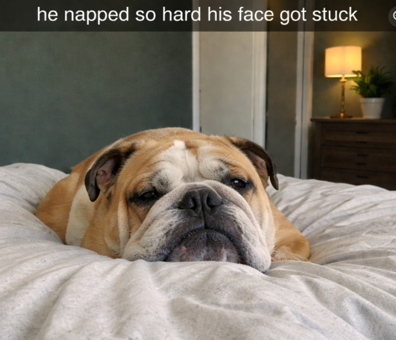 he napped so hard his face got stuck