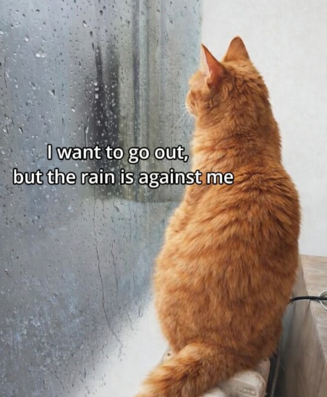I want to go out, but the rain is against me