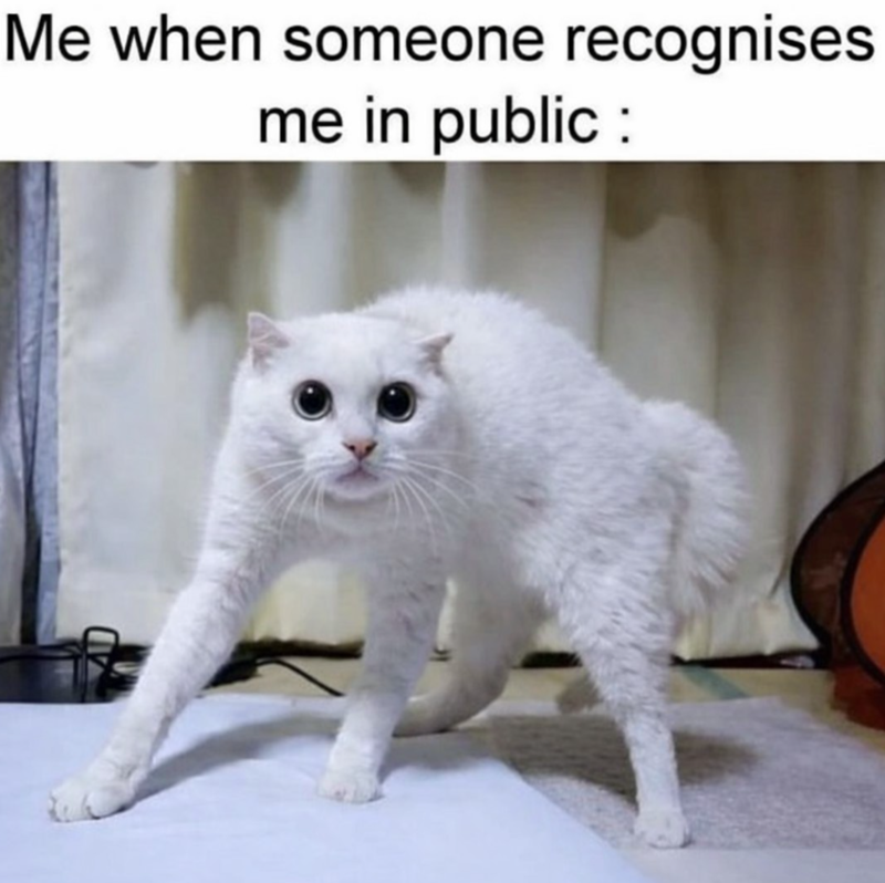Me when someone recognises me in public :