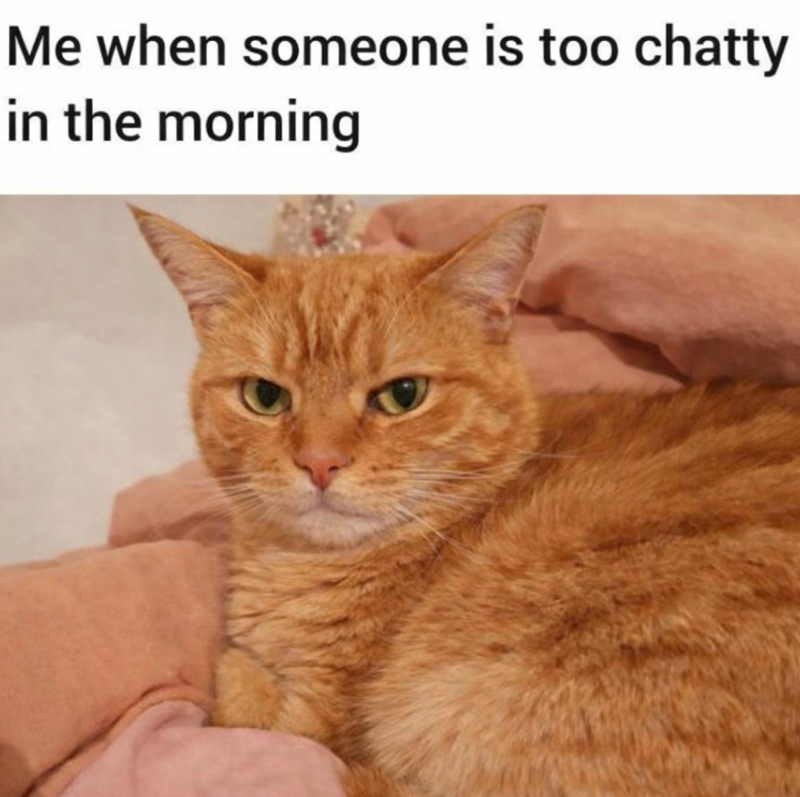Me when someone is too chatty in the morning