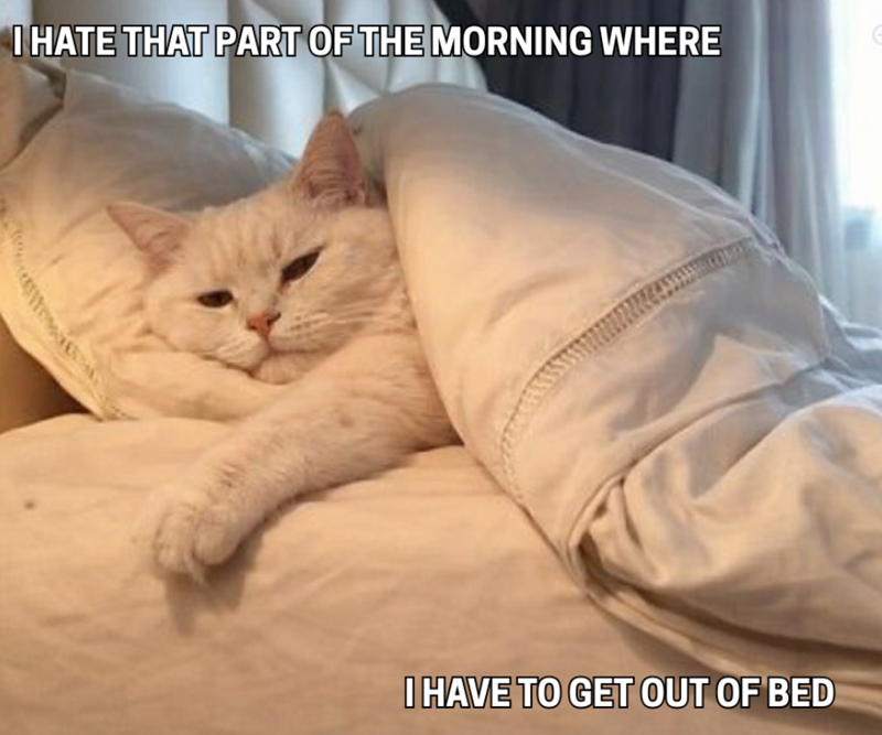 I HATE THAT PART OF THE MORNING WHERE I HAVE TO GET OUT OF BED