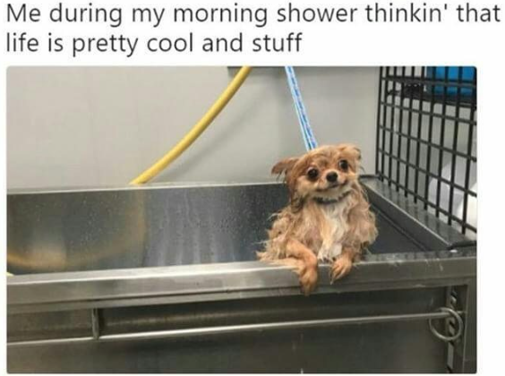 Me during my morning shower thinkin' that life is pretty cool and stuff