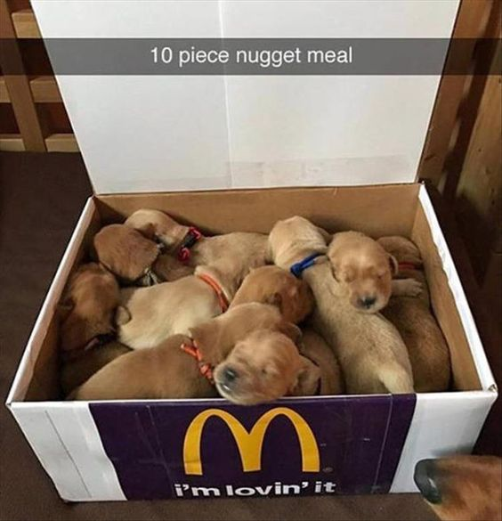 10 piece nugget meal M i'm lovin' it