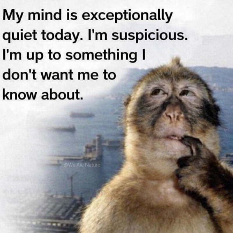 My mind is exceptionally quiet today. I'm suspicious. I'm up to something I don't want me to know about. @We Are Nature