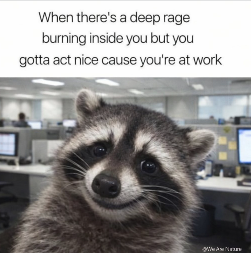 When there's a deep rage burning inside you but you gotta act nice cause you're at work @We Are Nature