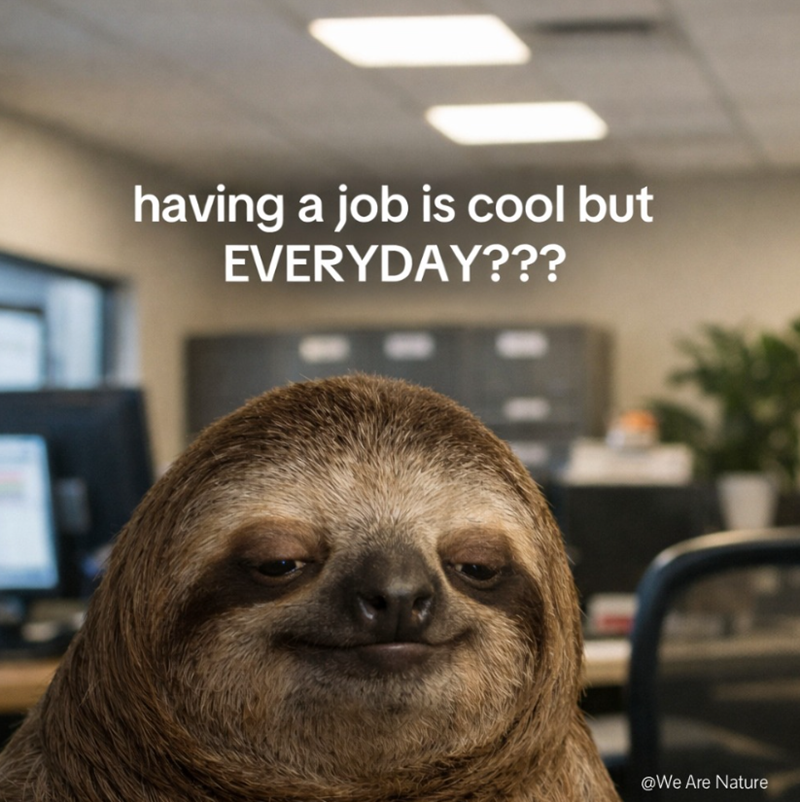 having a job is cool but EVERYDAY??? @We Are Nature