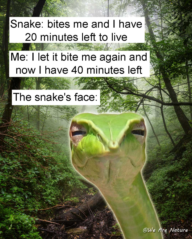 Snake: bites me and I have 20 minutes left to live Me: I let it bite me again and now I have 40 minutes left The snake's face: @We Are Nature